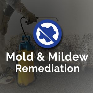 Mold and Mildew Remediation