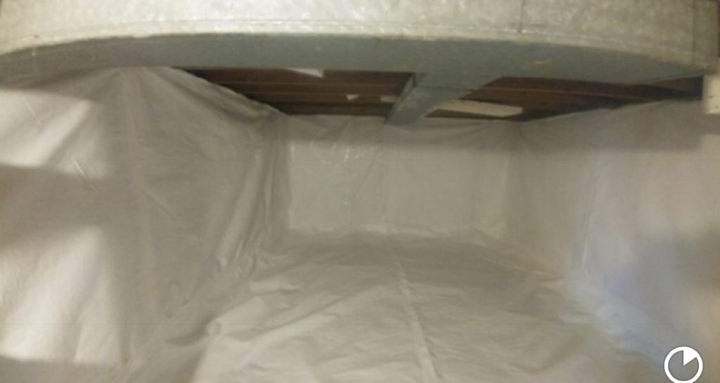 Best Waterproofing Basement And Mold Reation Basement Health Services