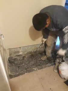 mold and mildw remediation