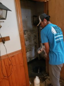 mold and mildw remediation