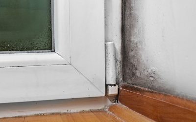 Moisture in your basement? Don’t wait. Get A Free Inspection Now.