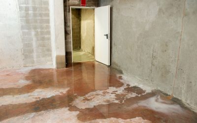 What Foundation Issues in your Home Lead to Water Problems in your Basement?