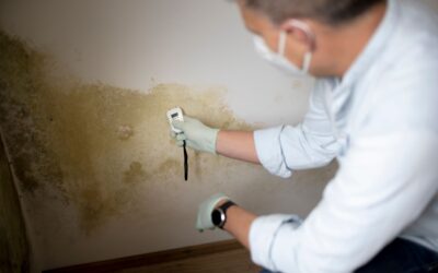 How Often Should You Get a Professional Foundation Inspection of Your Home?