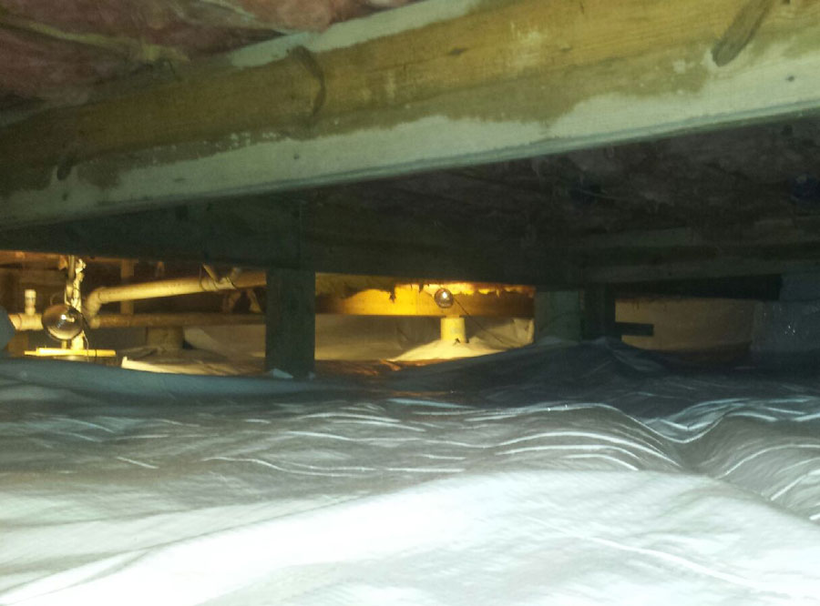 WCS-How-Do-You-Know-Wet-Crawl-Space