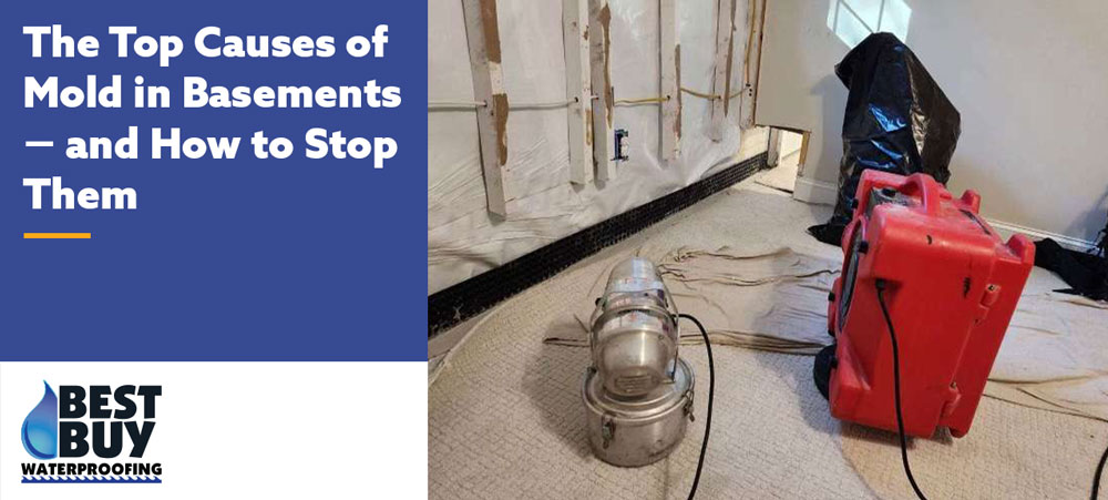 Basement waterproofing equipment removing moisture from a partially finished basement to prevent mold growth.