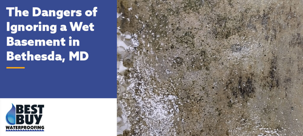 Wet basement floor and foundation wall in a Bethesda, Maryland home showing visible standing water and moisture intrusion that can lead to mold growth and structural damage.